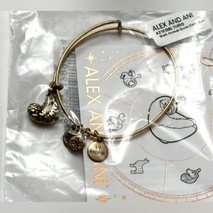 New Alex and Ani Sloth Bangle